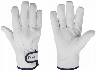 Produktbild von Bradas WHITEBIRD Arbeitsschutzhandschuhe Ziegenleder Klettverschluss