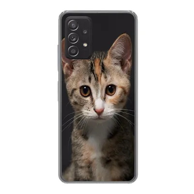 Produktbild von MuchoWow® Handyhülle Schutzhülle Hülle für Samsung galaxy a73 Katze - Schwarz - Porträt Silikon Softcase Handy Hülle - Handyhülle