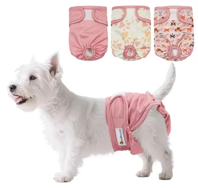 Produktbild von 3 wiederverwendbare Hundehosen, saugfähige Unterwäsche für kleine Hunde