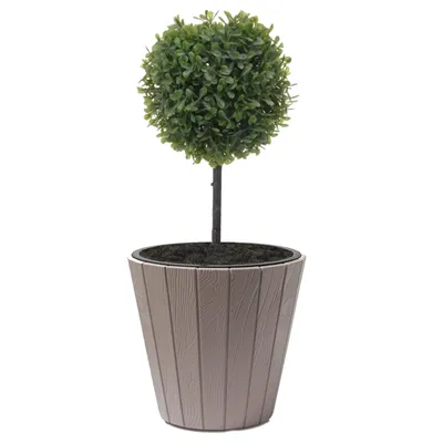 A potted artificial plant with a spherical topiary.