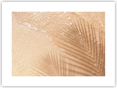 Produktbild von Poster - Poster ohne Rahmen - Sand Schatten Blätter - 40x30 cm - Wand Bild - Wanddeko - Wandbilder - Kunstposter - Wandposter - Bilder - Kunstdruck - Wanddekoration - Wandbild - P2XAA40x30-4580