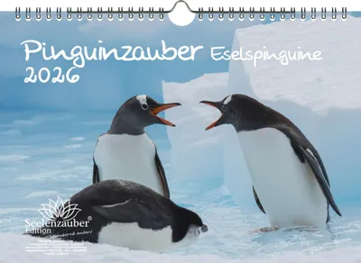 Produktbild von Pinguinzauber Eselspinguine DIN A4 Kalender für 2026 Pinguin