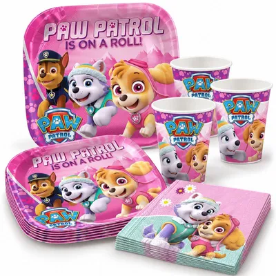 Produktbild von Skye & Everest Paw Patrol Partyset zum Kindergeburtstag für 8 Kinder