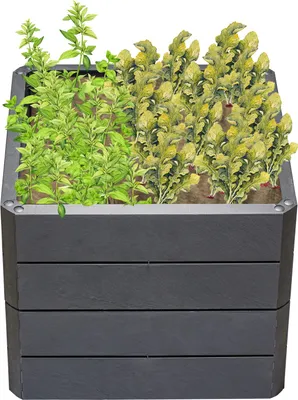 Immagine prodotto di Garantia Ergo Quadro S50 Hochbeet Farbe stone, GrÃ¶Ãüe 60x60 cm, Hähe 50 cm