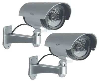 Productafbeelding van Elro Nepcamera, set van 2