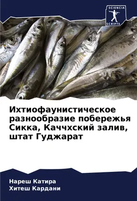 Produktbild von Ihtiofaunisticheskoe raznoobrazie poberezh'q Sikka, Kachchhskij zaliw, shtat Gudzharat