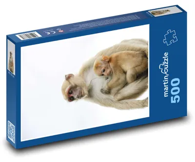 Obrázok produktu pre Puzzle 500 Opica s mláďaťom - martinpuzzle