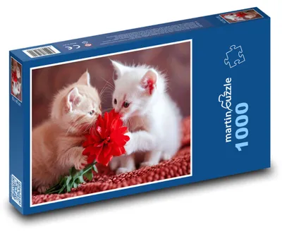 Produktbild von Puzzle 1000 Niedliche Kätzchen mit Blume - martinpuzzle