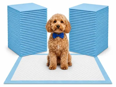 Produktbild von Aluz Hunde Trainingspads 150 Stück 60x90 cm Saugfähige Welpenunterlagen 400 ml