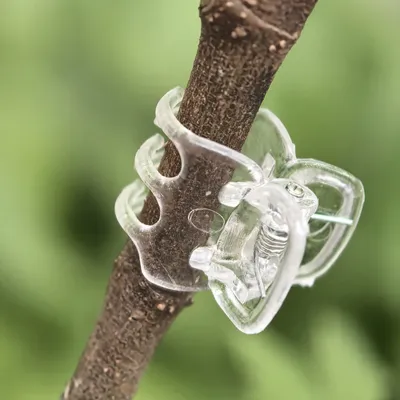 Produktbild von INF 50 Stück Klare Orchideenclips zur Unterstützung von Blumenstielen