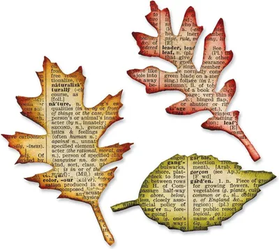 Immagine prodotto di Sizzix 2118724413 BigzDie Tattered l.