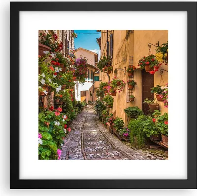 Produktbild von Gerahmtes Poster - Schwarzer Rahmen - Path Blumen Haus Hof - 30x30 cm - Wand Bild - Wanddeko - Wandbilder - Kunstposter - Wandposter - Bilderrahmen - Bilder - Kunstdruck - Wandbild - P2BAC30x30-3183