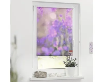 Obrázek produktu pro Roleta na okno Lichtblick bez vrtání fialová květinová louka 80x150 cm včetně upínacích držáků