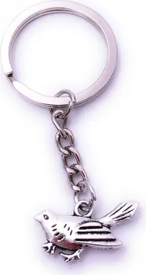 Produktbild von Onwomania Taube Vogel Spatz Schlüsselanhänger Keychain Silber aus Metall