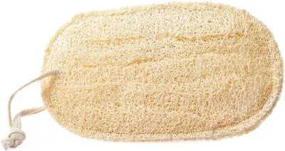 Produktbild von Luffa-Schwämme EcoClean - 2 Stück - aus natürlicher Luffa - nachhaltliches Haushaltsreinigungsmittel - erhältlich bei m-Winkel