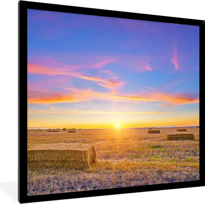 Produktbild von MuchoWow® Gerahmtes Poster Stroh - Sonne - Himmel - Landschaft 40x40 cm - Poster mit Schwarzem Bilderrahmen Wandposter Rahmen Foto Bilder - Mit Rahmen - Wanddekoration Schlafzimmer