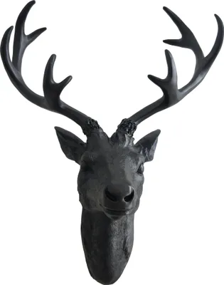 Produktbild von 2.02 Hirschgeweih schwarz - 40 cm