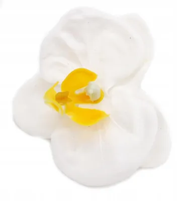 Produktbild von Domosfera Weißer Duftender Seiden-Orchideenblütenkopf für Geschenke