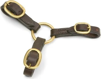 Immagine prodotto di Blenheim - Pettorina per cavalli in pelle ER259 (taglia unica) (marrone)