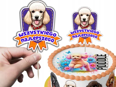 Zdjęcie produktu dla TOPPER NA TORT ozdoba dekoracja urodziny torcik PIES PSY RASA PUDEL PUDELEK