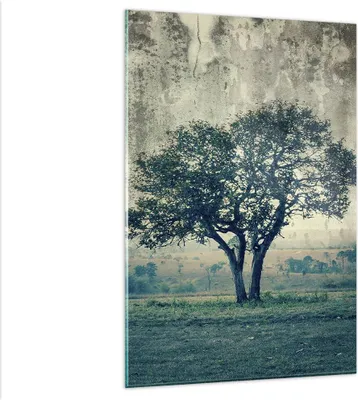 Produktbild von Bilder auf glas - Einteilig - Baum Natur Feld - 80x120cm - Glasbilder - Wandbilder - Bilder - zum Aufhängen bereit - Wanddekoration aus Glas - Glas Bilder - Wandbild auf Glas - GPA80x120-3627