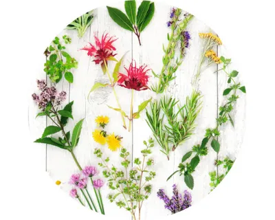 Produktbild von Glasbild Herbs & Flowers Ø 50 cm