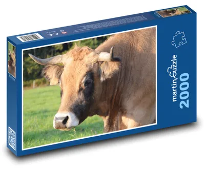 Obrázek produktu pro Puzzle 2000 Kráva na louce - martinpuzzle