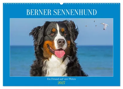 Produktbild von Berner Sennenhund - Ein Freund auf vier Pfoten (Wandkalender 2027 DIN A2 quer), CALVENDO Monatskalender