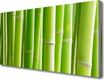 Produktbild von Tulup Leinwand-Bilder 100x50 Wandbild Canvas Kunstdruck Bambusrohre Pflanzen