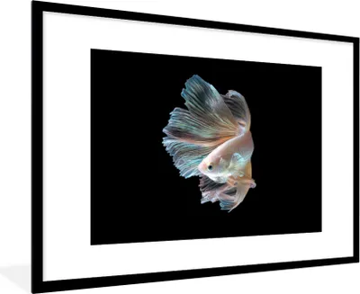 Produktbild von MuchoWow® MuchoWow® Gerahmtes Poster Fisch - Schwanz - Schwarz 90x60 cm - Poster mit zchwarzem Bilderrahmen - Wanddekoration - Fotos