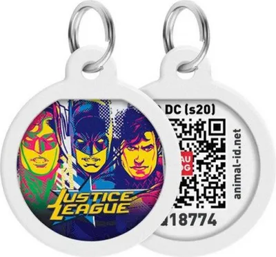 Image de Pet ID Tag pour chien chat avec QR Passport Système global de recherche d'animaux perdus Digital ID chien Tag Justice League