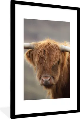 Produktbild von MuchoWow® Gerahmtes Poster Schottischer Highlander - Hörner - Haare 60x90 cm - Poster mit Schwarzem Bilderrahmen Wandposter Rahmen Foto Bilder - Dekoration - Wandposter Wohnzimmer - Hochwertig