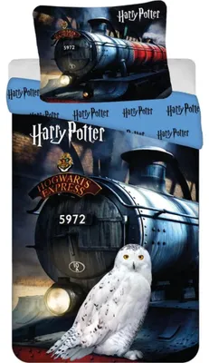 Productafbeelding van Harry Potter dekbedovertrek Hogwarts Express 140 x 200 cm - 70 x 90 cm - katoen