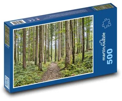 Zdjęcie produktu dla martinpuzzle - Puzzle 500 - Las - drzewa