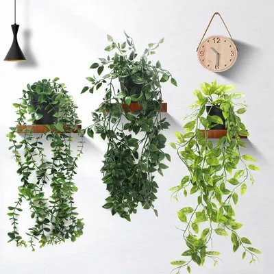 Produktbild von Hängepflanzen-Dekoration mit Topf - Set aus 3 - Künstliche Eukalyptus Pflanzen - 63 cm - Wartungsfrei