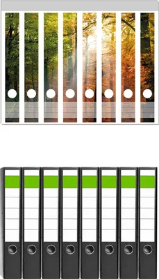 Produktbild von Wallario 8 Stück schmale Ordner inkl. Klebeetiketten mit Motive Sonnenuntergang im Herbstwald -  Set mit Rückenschildern / Ordnerrücken Stickern