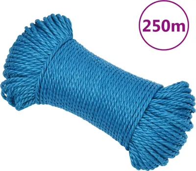 Obrázok produktu pre The Living Store Pracovné lano modré 8 mm 250 m Polypropylén