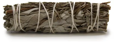Image de Bochette d'herbes - Sauge blanche et romarin, 10 cm