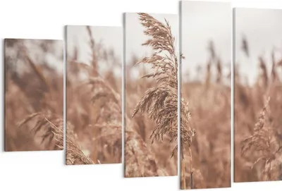 Produktbild von Bild auf Leinwand - Leinwandbild - 5 Teile - Zuckerrohr Wiese Boho - 150x100cm - Wand Bild - Wanddeko - Wandbilder - Leinwanddruck - Bilder - Wanddekoration - Leinwand bilder - EG150x100-4709