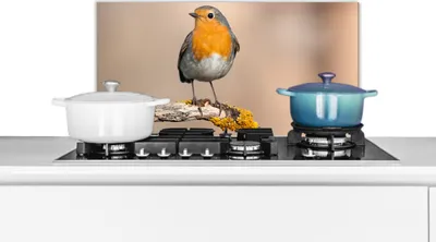 Produktbild von KitchenYeah®  Spritzschutz Küche - Küchenrückwand - Wandschutz für Herd und Spüle - Rotkehlchen - Vogel - Zweig - Tiere 60x30 - Alu-Dibond (Alternative zum Spritzschutz aus Glas) - Hitzebeständig - He