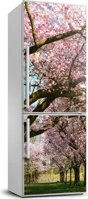 Imagen del producto de Decoración para nevera Tulup - 70x190 cm - Adhesivo para nevera - Cerezo