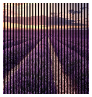 Produktbild von Akustikpaneele mit Digitaldruck Lavendel01 19 x 2253 x 2400 mm Lavandel Himmel MDF PET-Fasern Wandpaneele Lila 4 Einzelplatten