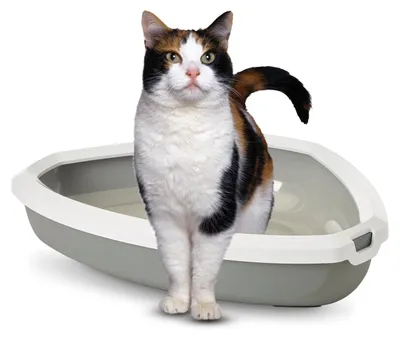 Produktbild von Katzentoilette grau/weiß 58,5x46x13,5 cm Rincon Katzenklo hygienisch