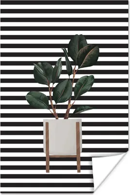 Produktbild von MuchoWow® Poster Pflanzen - Blumentopf - Zimmerpflanzen 80x120 cm - Papierdruck