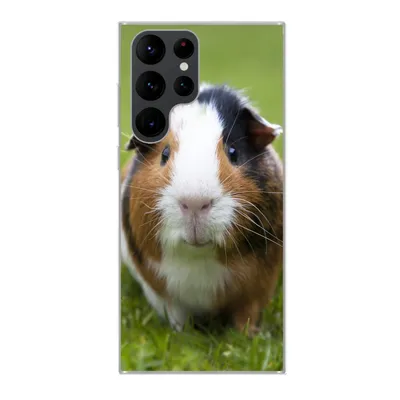 Produktbild von MuchoWow® Handyhülle Schutzhülle Hülle für Samsung Galaxy S22 Ultra Zwei Meerschweinchen Silikon Softcase Handy Hülle - Abbildung