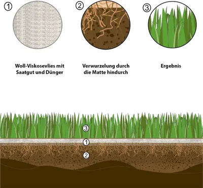 Produktbild von easygreen® Trockenrasen 12m²