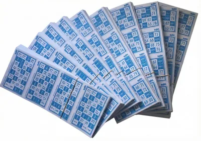 Produktbild von 3200 Bingo BINVI Kartons