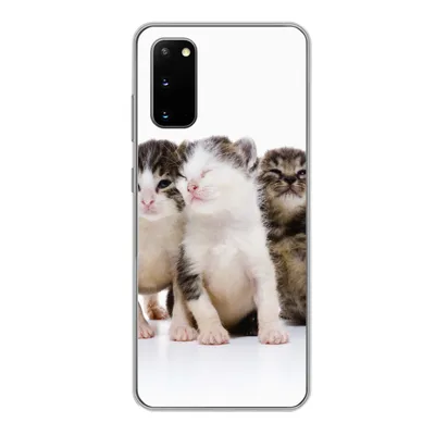 Produktbild von MuchoWow® Handyhülle Schutzhülle Hülle für Samsung Galaxy S20 Katze - Haustiere - Fell - Porträt Silikon Softcase Handy Hülle - Bild