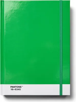 Zdjęcie produktu dla Copenhagen Design Notebook Large Dotted - Green 16-6340