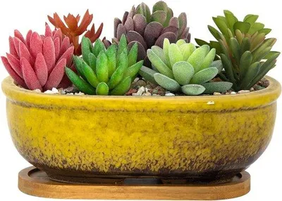 Immagine prodotto di Vasi da fiori in Vetroceramica da 20 cm per piante grasse con foro di drenaggio
